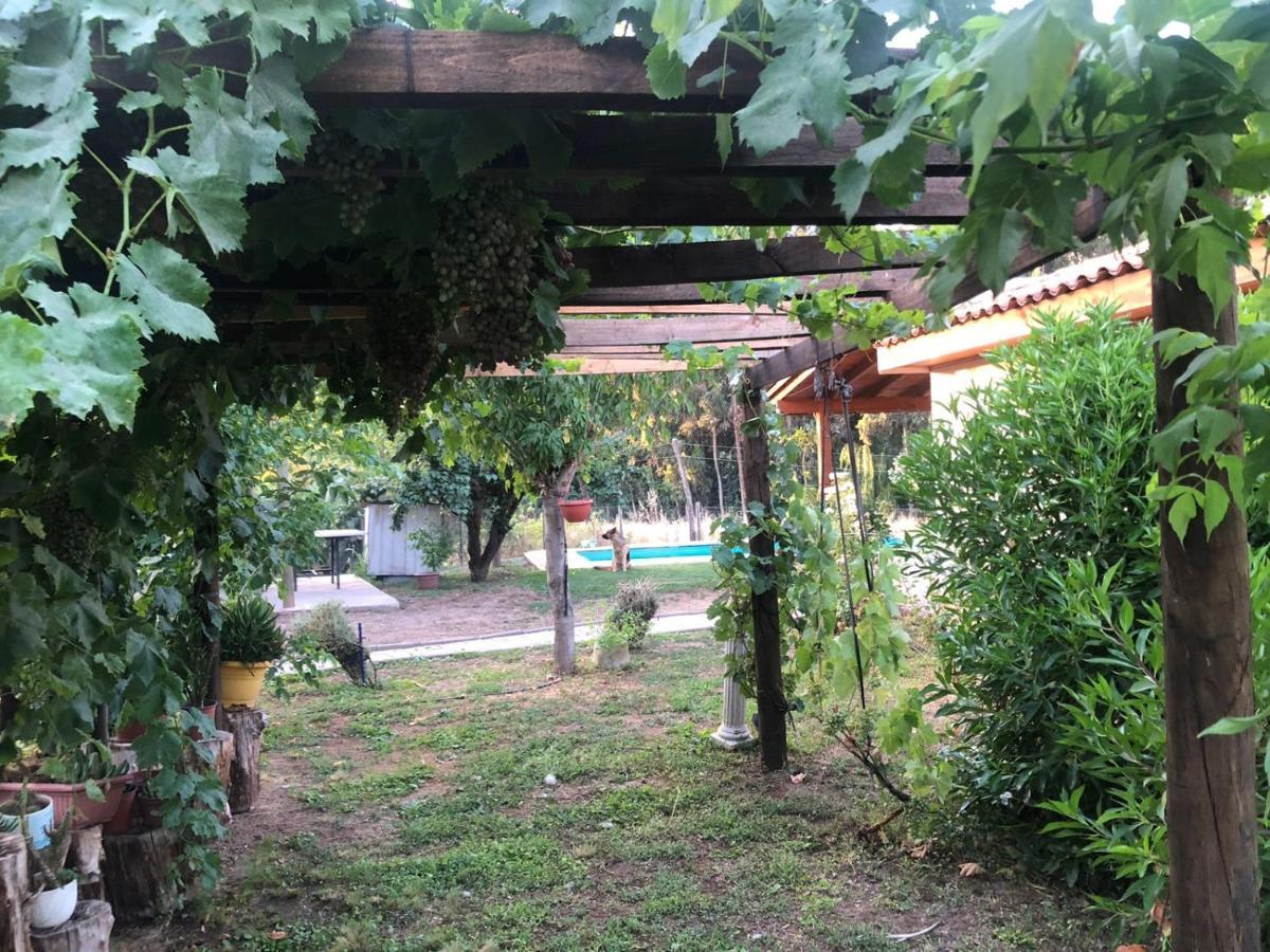 Alojamiento Los Nogales Santa Cruz Exterior foto